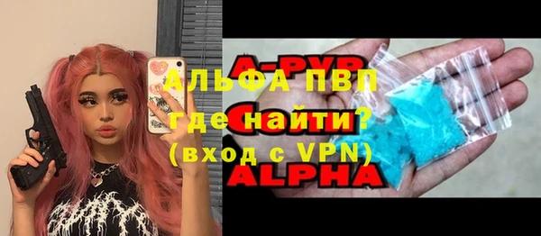 молекула духа Ладушкин