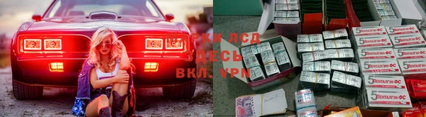 молекула духа Ладушкин