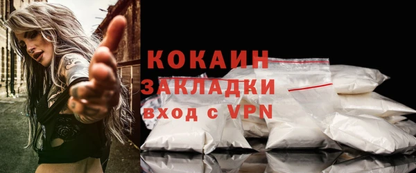 молекула духа Ладушкин