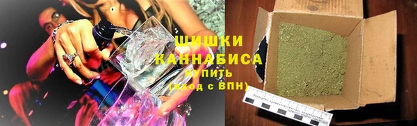 молекула духа Ладушкин