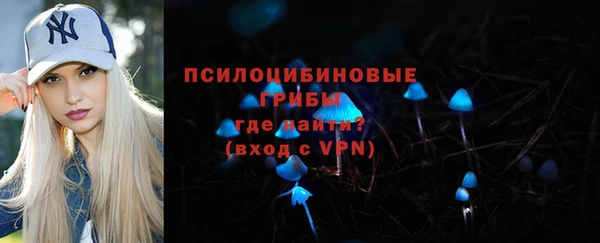 молекула духа Ладушкин