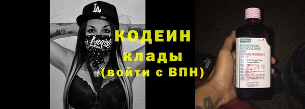 метадон Лагань