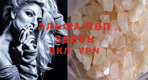 молекула духа Ладушкин