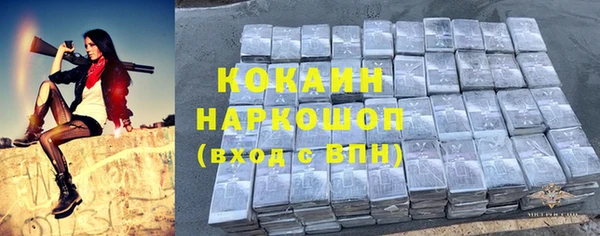 молекула духа Ладушкин