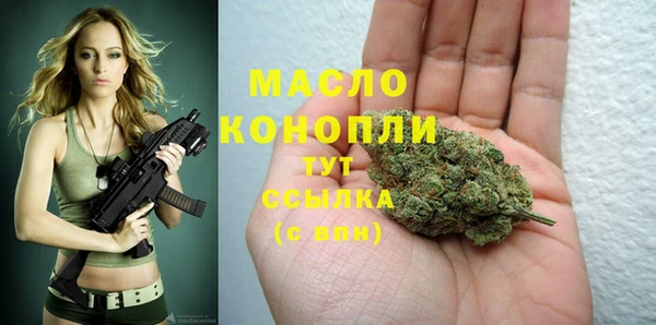 молекула духа Ладушкин