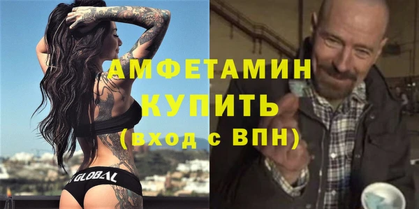 молекула духа Ладушкин