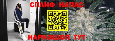 МДПВ Жуковский