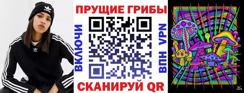 Псилоцибиновые грибы Magic Shrooms  Москва 