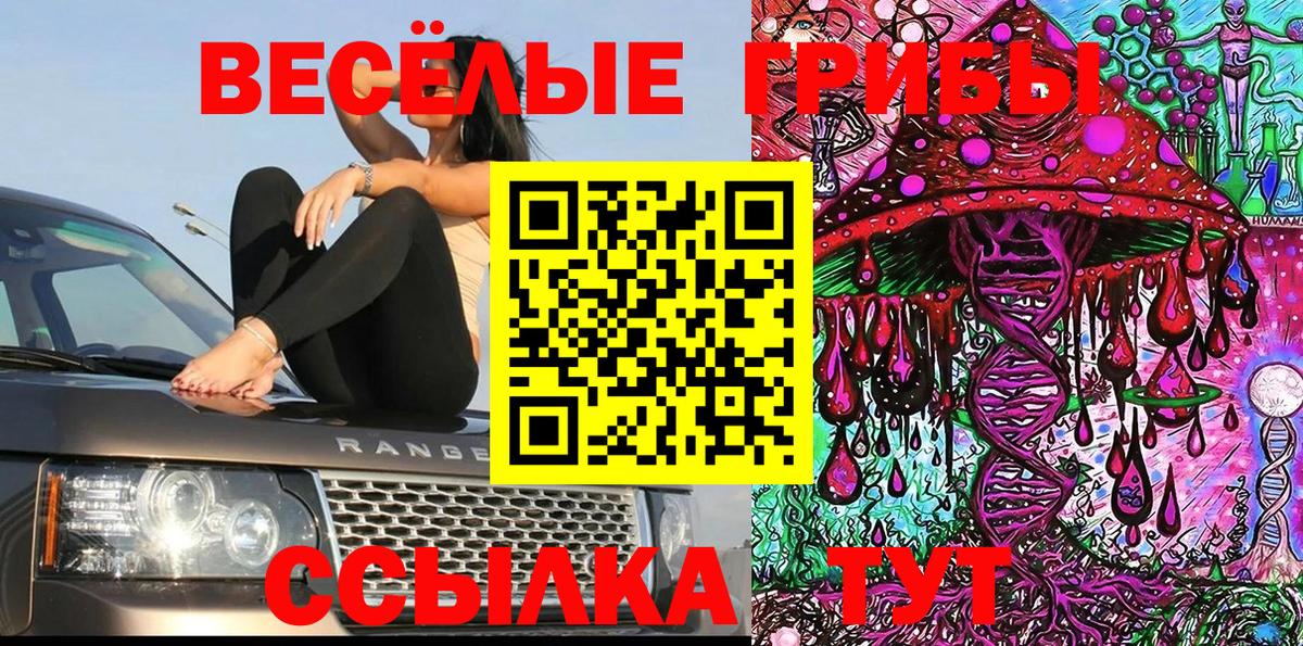 Москва  Псилоцибиновые грибы Cubensis  Псилоцибиновые грибы Cubensis  Вход с VPN 